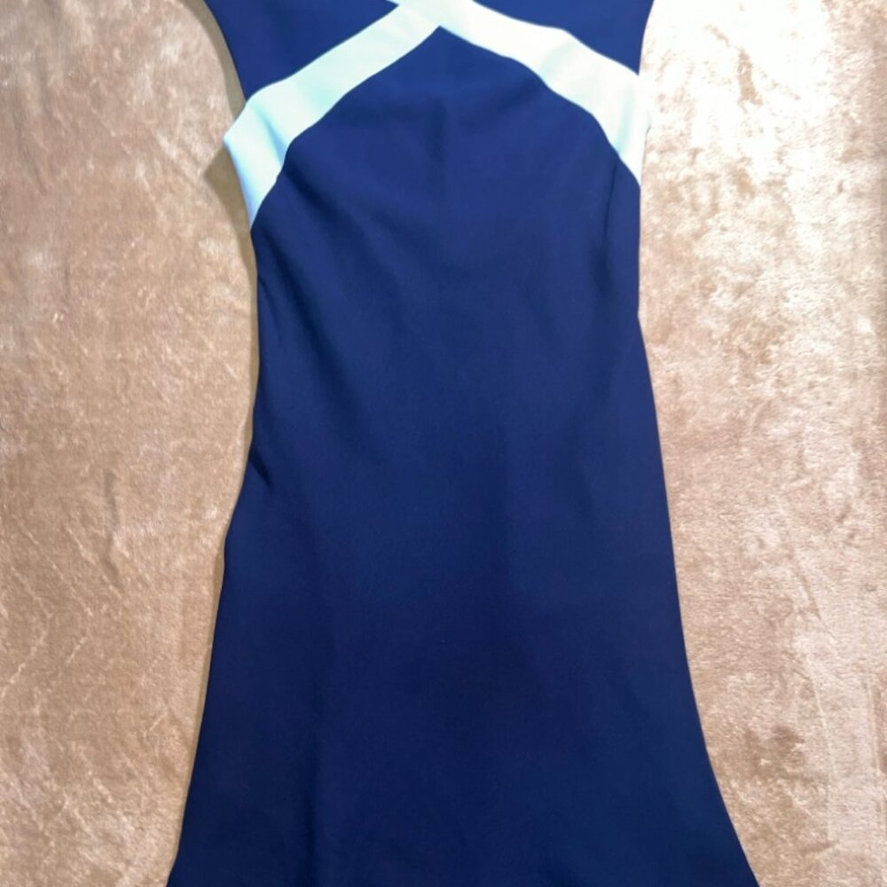 Amanda Smith Petite Women 8 Navy Baby Blue Sleeveless Fitted‎ Flare Dress